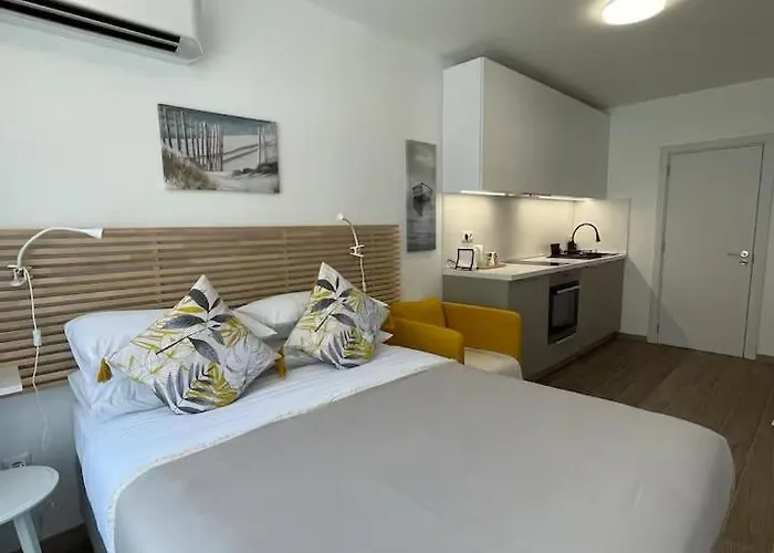 варна, студио черно море